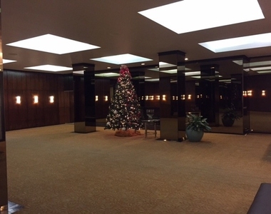 535 N Michigan Avenue - Photo Thumbnail 11