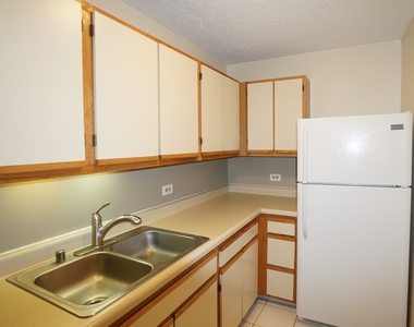 1122 N Clark Street - Photo Thumbnail 5