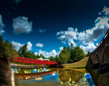 23 Shellbark - Photo Thumbnail 30