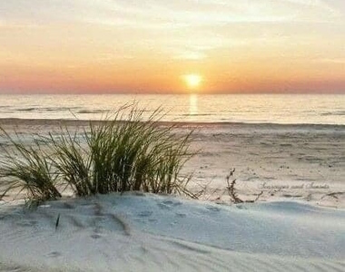 23540 Via Veneto - Photo Thumbnail 48