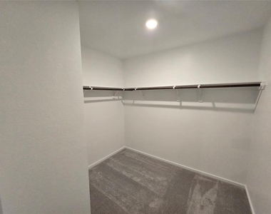 29035 Pearl Barley Way - Photo Thumbnail 13