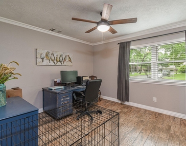 310 Prince Of Wales Street - Photo Thumbnail 7