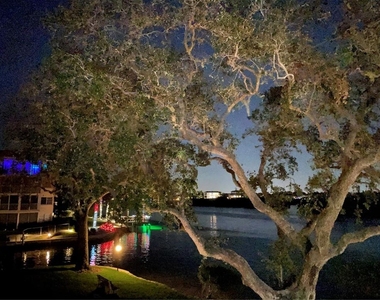 1355 S Portofino Drive - Photo Thumbnail 70