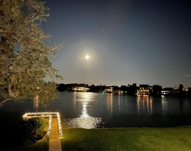 1355 S Portofino Drive - Photo Thumbnail 72
