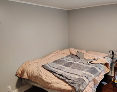 25 George Street - Photo Thumbnail 15