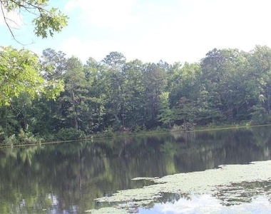 415 Walton Road - Photo Thumbnail 4
