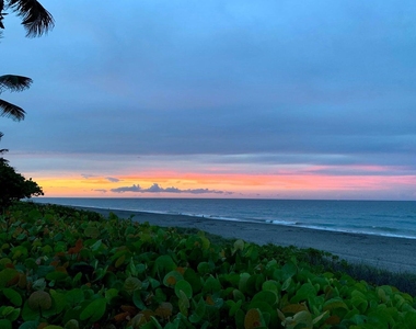 1648 Jupiter Cove Drive - Photo Thumbnail 54