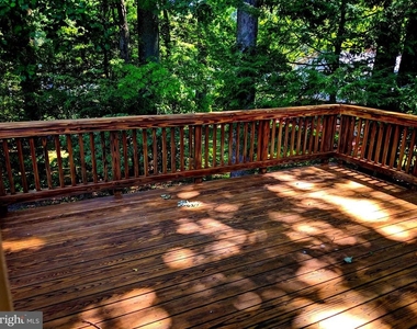 8702 Thunderbird Court - Photo Thumbnail 11