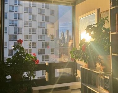 241 S 6th Street - Photo Thumbnail 19