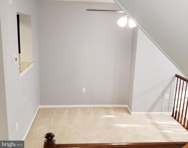 6 Halstead Place - Photo Thumbnail 13
