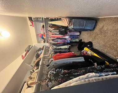 28496 N Dolomite Lane - Photo Thumbnail 14