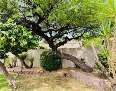 7798 E Buteo Drive - Photo Thumbnail 12