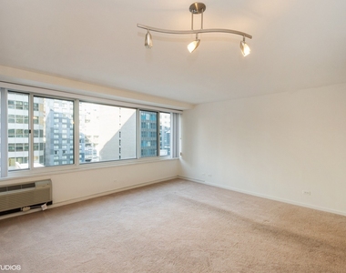 211 E Ohio Street - Photo Thumbnail 3