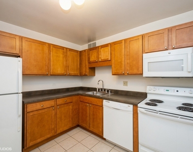 211 E Ohio Street - Photo Thumbnail 5