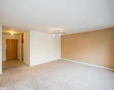 211 E Ohio Street - Photo Thumbnail 4