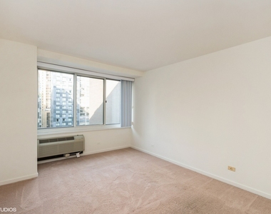 211 E Ohio Street - Photo Thumbnail 6