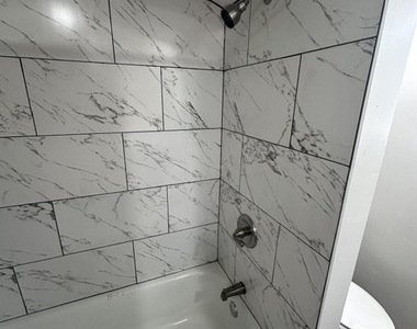 6009 S Kolin Avenue - Photo Thumbnail 10