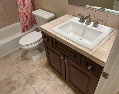 31264 N 133rd Lane - Photo Thumbnail 29