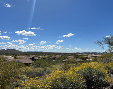 42107 N Mountain Cove Drive - Photo Thumbnail 45