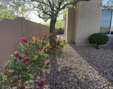 42107 N Mountain Cove Drive - Photo Thumbnail 24