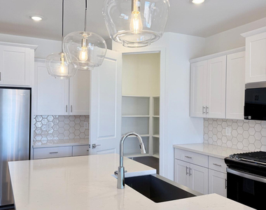 15988 W Desert Spoon Drive - Photo Thumbnail 11