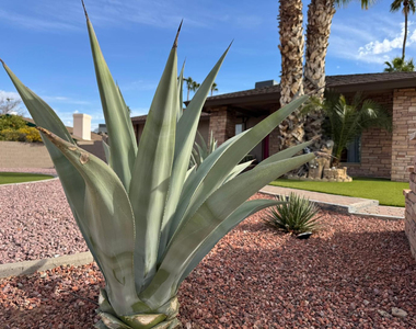 11035 N 32nd Street - Photo Thumbnail 20