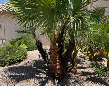 5701 W Jupiter Way - Photo Thumbnail 61