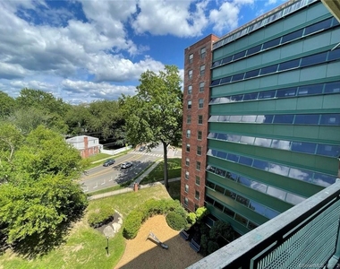 97 Morgan Street - Photo Thumbnail 3