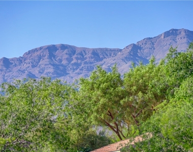 7368 Rietz Canyon Street - Photo Thumbnail 69
