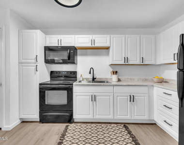1505 W Mckinley Street - Photo Thumbnail 6