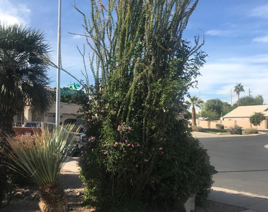 3924 E Yucca - Photo Thumbnail 1