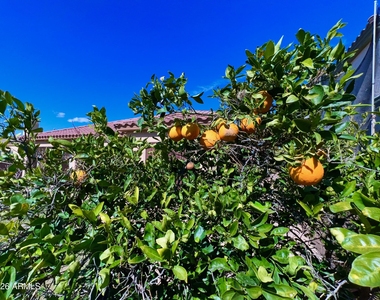 14313 W Alvarado Drive - Photo Thumbnail 21