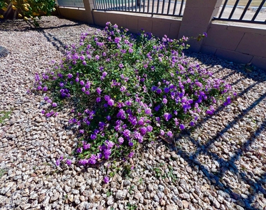 14313 W Alvarado Drive - Photo Thumbnail 22