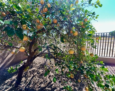 14313 W Alvarado Drive - Photo Thumbnail 20
