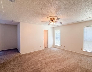 712 Pecan Street - Photo Thumbnail 15