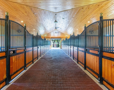 14943 Paddock Drive - Photo Thumbnail 3