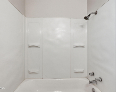 829 N 4th Avenue - Photo Thumbnail 20