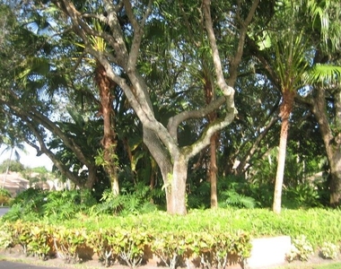 17256 Boca Club Boulevard - Photo Thumbnail 15
