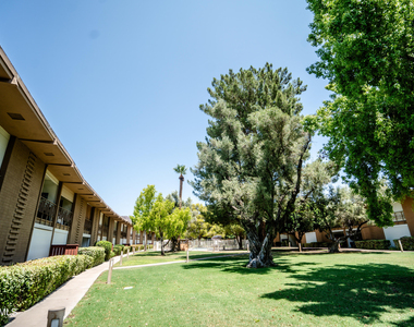 6125 E Indian School Road - Photo Thumbnail 12