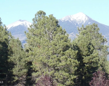 8950 W Antoinette Way - Photo Thumbnail 97