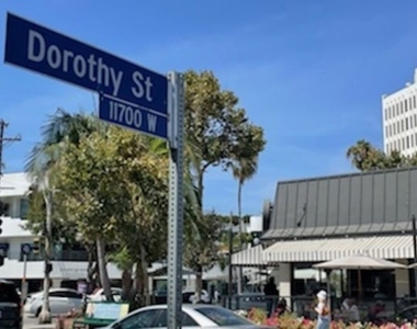 11807 Dorothy Street - Photo Thumbnail 42