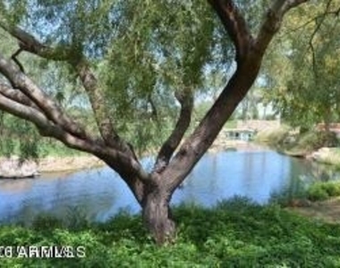28207 N 123rd Lane - Photo Thumbnail 26
