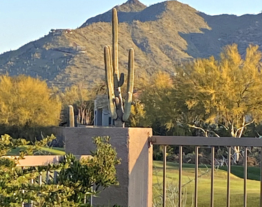6894 E Thirsty Cactus Lane - Photo Thumbnail 46
