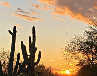 6894 E Thirsty Cactus Lane - Photo Thumbnail 48