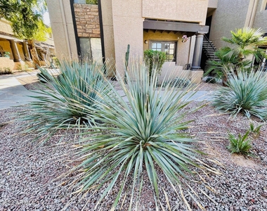 5995 N 78th Street - Photo Thumbnail 20