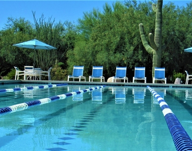 6469 E Amber Sun Drive - Photo Thumbnail 42