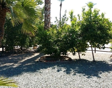 18601 N Welk Drive - Photo Thumbnail 26