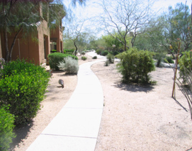 19700 N 76th Street - Photo Thumbnail 16