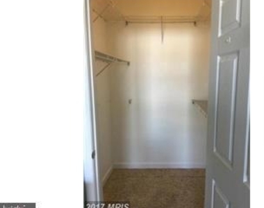 22607 Blue Elder Terrace - Photo Thumbnail 5
