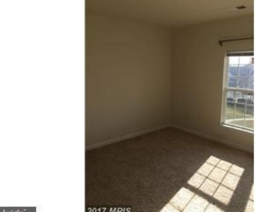 22607 Blue Elder Terrace - Photo Thumbnail 8